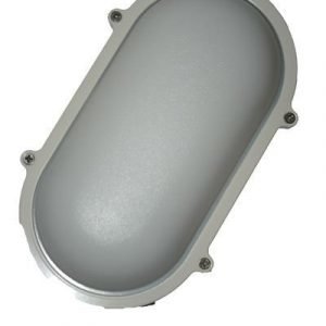 Led-Valaisin Ovaali 12w