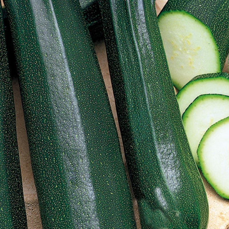 Siemenpussi Kurpitsa Kesä- Zucchini/Zuboda